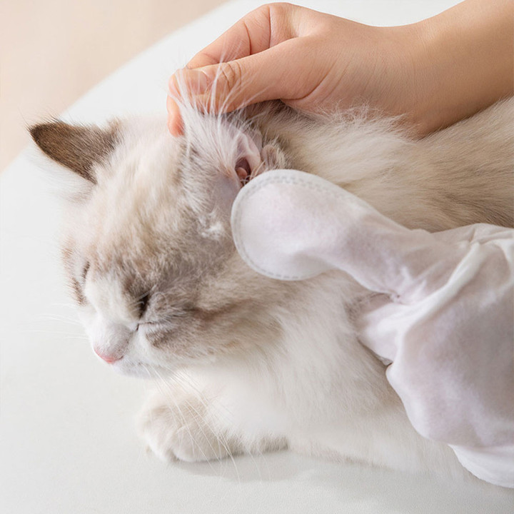 크레용펫 장갑형 바디티슈 6매