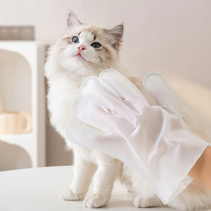 크레용펫 장갑형 바디티슈 6매