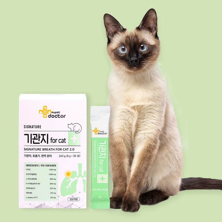 마이펫닥터 시그니처 2.0 고양이 기관지 영양제 240g