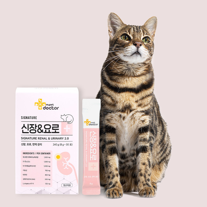 마이펫닥터 시그니처 2.0 고양이 신장&요로 영양제 240g