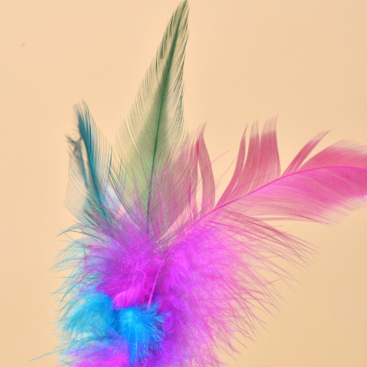 크레용펫 레인보우 깃털 탱탱볼 공 장난감