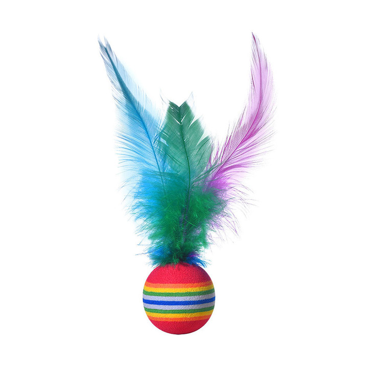 크레용펫 레인보우 깃털 탱탱볼 공 장난감