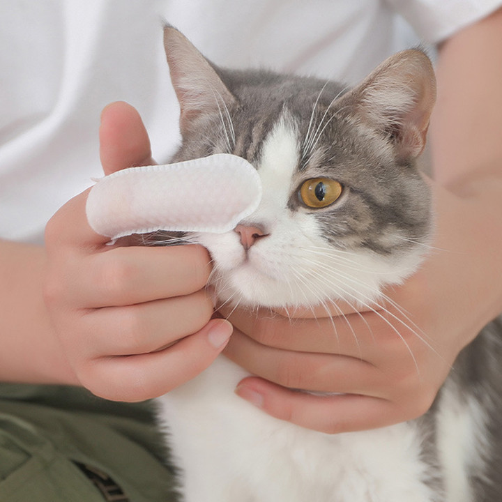 크레용펫 눈,귀,입 쓱싹 핑거 티슈 60매