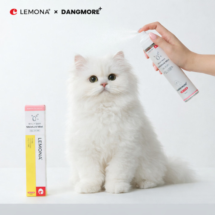 레모나 X 댕모어 고양이3종 SET