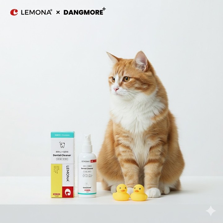 레모나 X 댕모어 고양이3종 SET