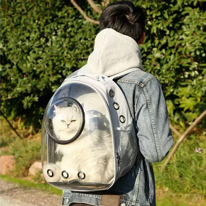 딩동펫 우주 캡슐 투명 백팩