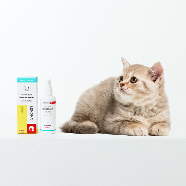 댕모어 레모나 눈꼽&입냄새 제거 2종 세트