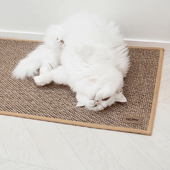 캣나인 이너무바 고양이 안식처 76x46cm