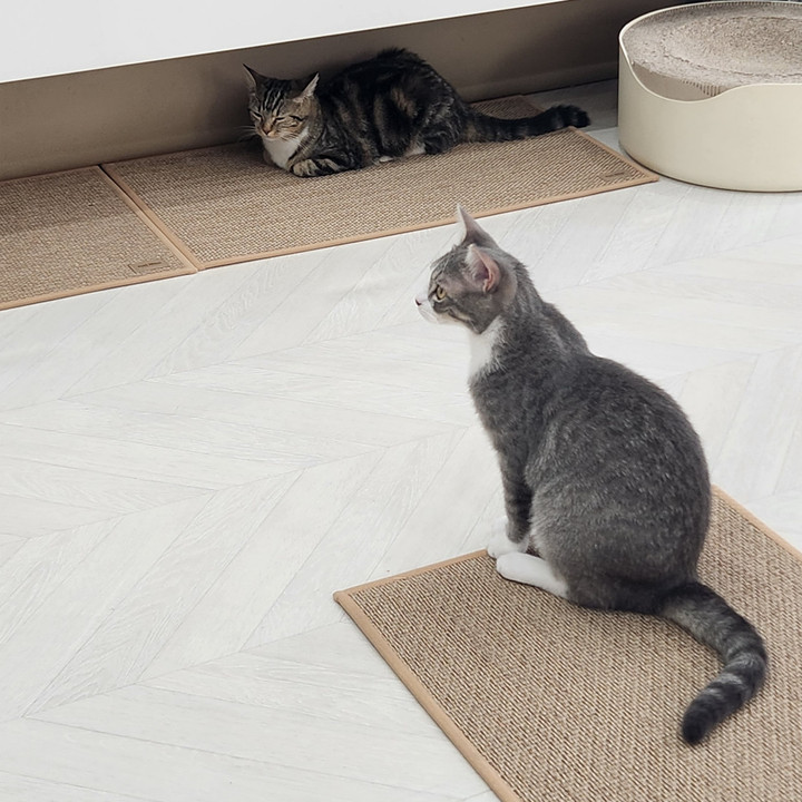 캣나인 이너무바 고양이 안식처 76x46cm