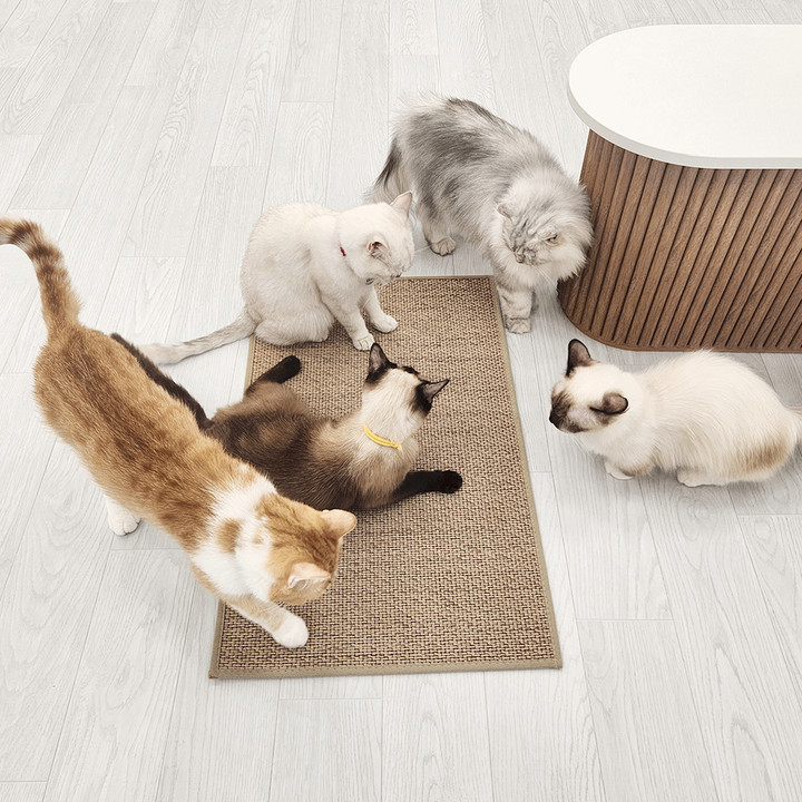 캣나인 이너무바 고양이 안식처 76x46cm