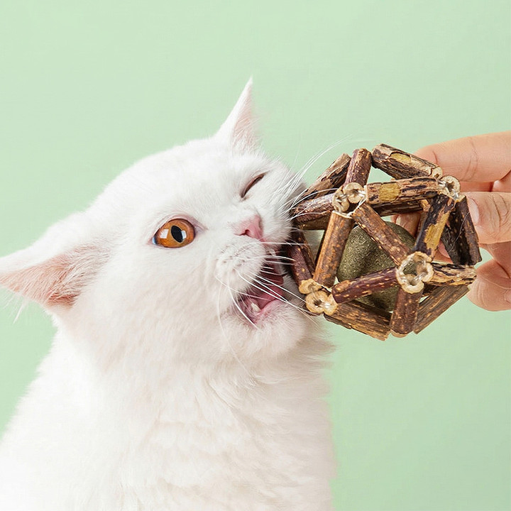 크레용펫 캣닢 쏙 마따따비 둥지볼 7.5cm