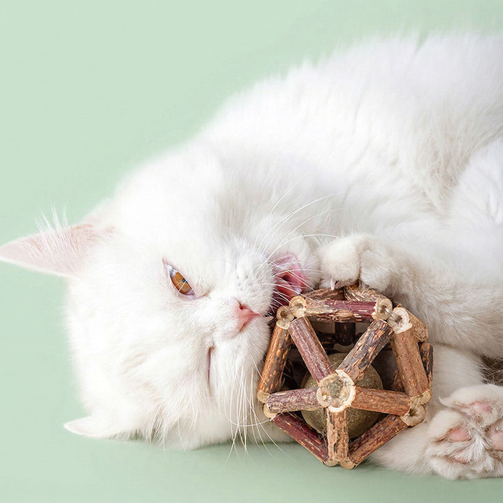 크레용펫 캣닢 쏙 마따따비 둥지볼 7.5cm