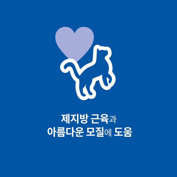 힐스 고양이 어덜트 연어 & 현미 1.6kg