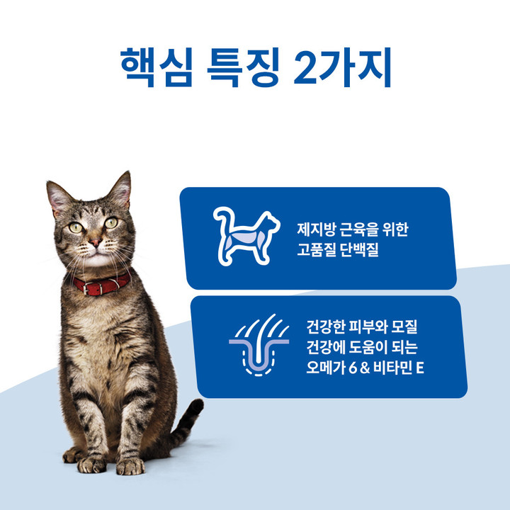 힐스 고양이 어덜트 연어 & 현미 1.6kg