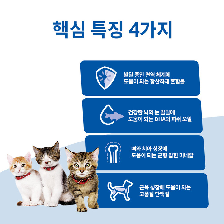 힐스 고양이 XS 미니백 키튼 540g