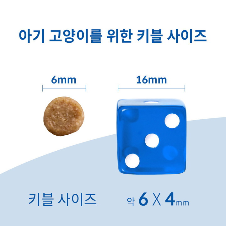 힐스 고양이 XS 미니백 키튼 540g