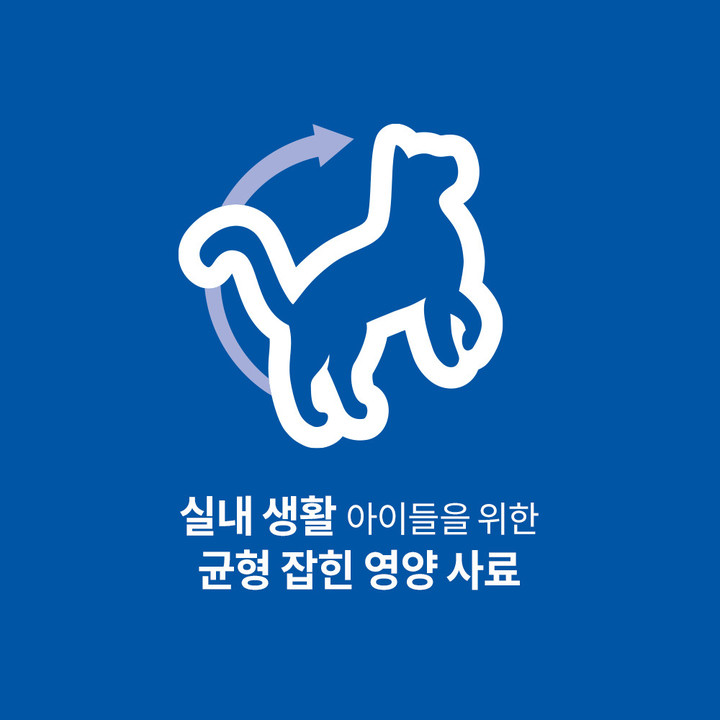 힐스 고양이 습식 어덜트 인도어 연어 & 야채 스튜 156g