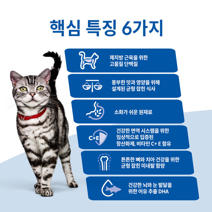 힐스 고양이 습식 어덜트 인도어 연어 & 야채 스튜 156g