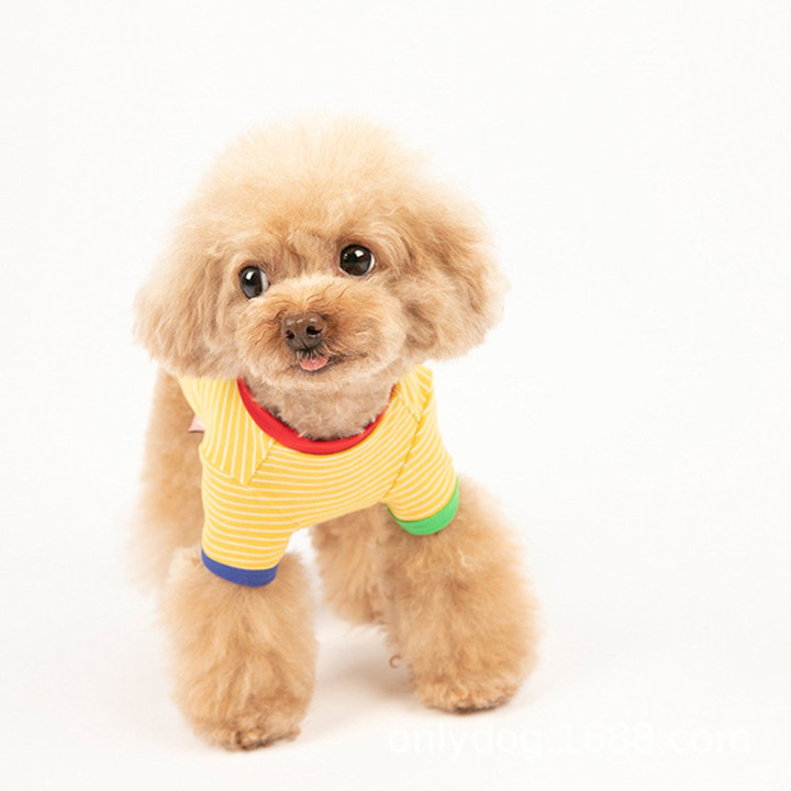 펫츠랜드 배색 단가라 티셔츠 옐로우