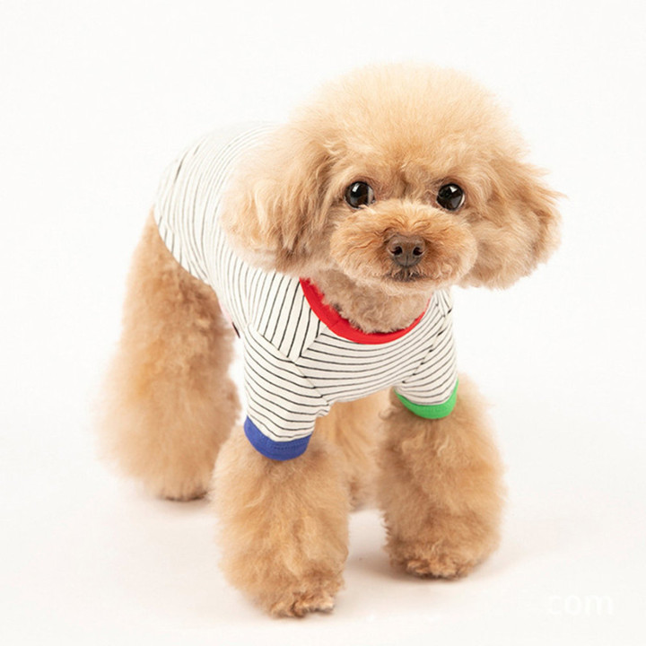 펫츠랜드 배색 단가라 티셔츠 옐로우