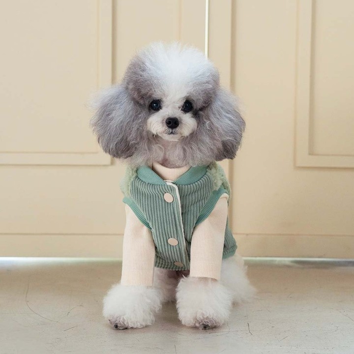 펫츠랜드 로이패딩조끼 민트