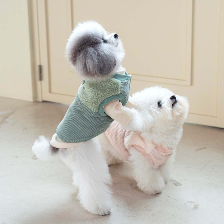 펫츠랜드 로이패딩조끼 민트