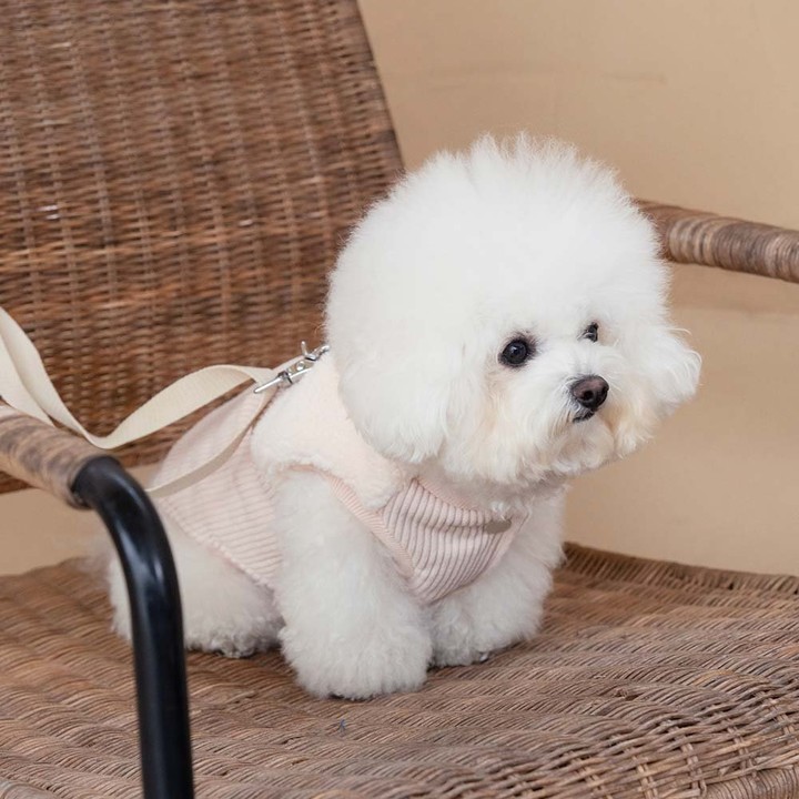 펫츠랜드 로이패딩조끼 민트