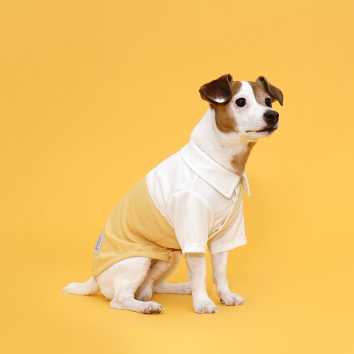 플로트 블록셔츠 화이트옐로우