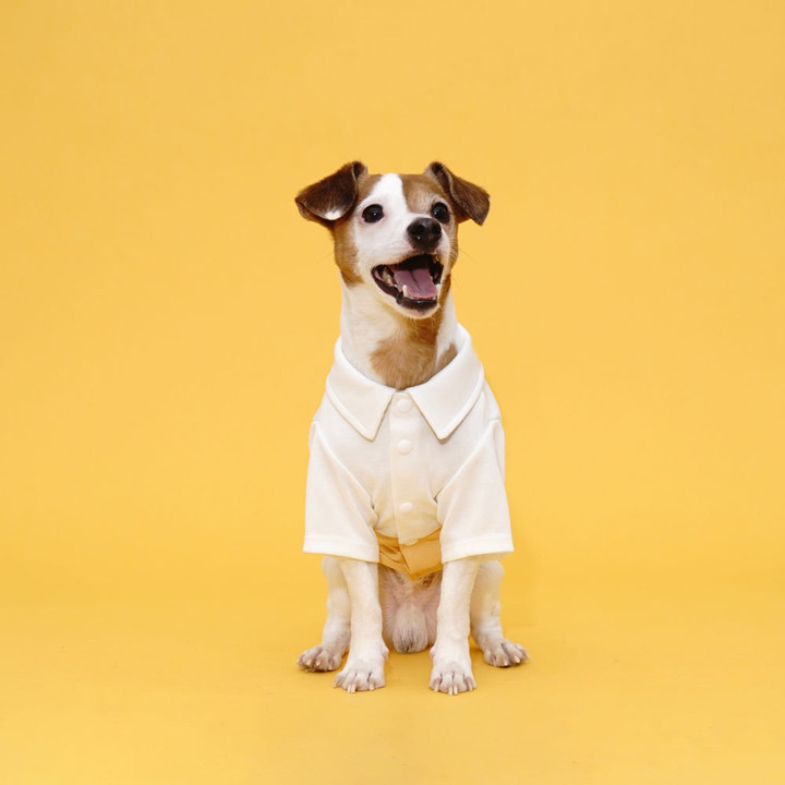 플로트 블록셔츠 화이트옐로우