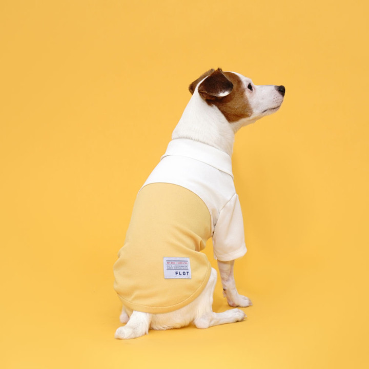 플로트 블록셔츠 화이트옐로우