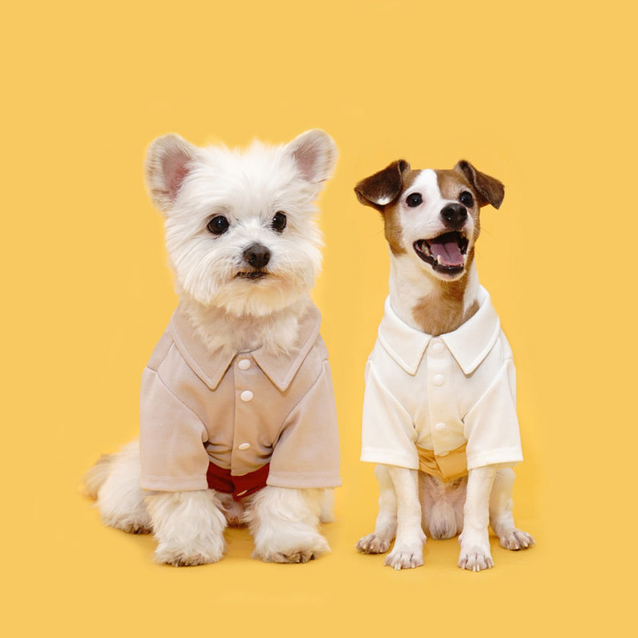 플로트 블록셔츠 화이트옐로우