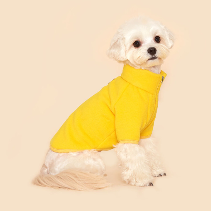 플로트 스탠다드 후리스집업 옐로우