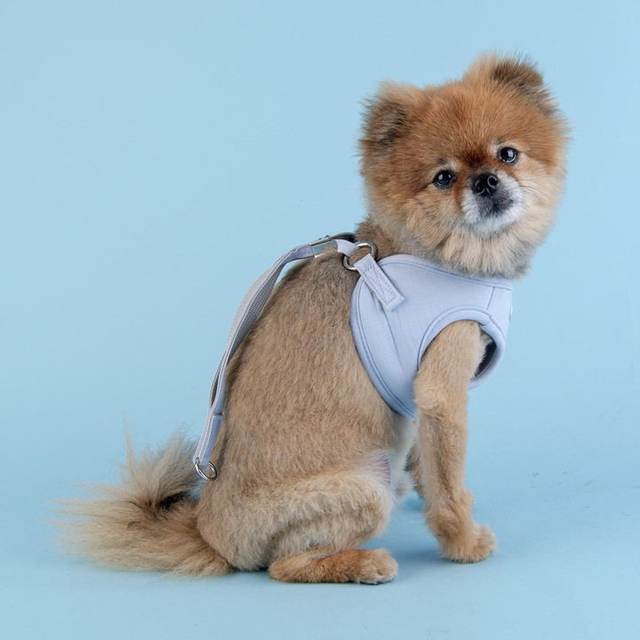 올치 마카롱 하네스 스카이블루