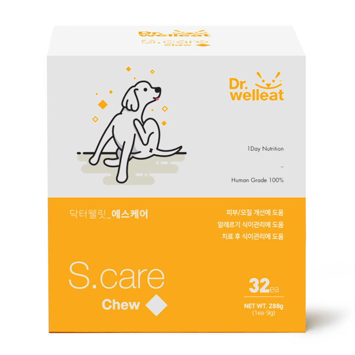 닥터웰릿 스킨 에스케어 츄 32개입