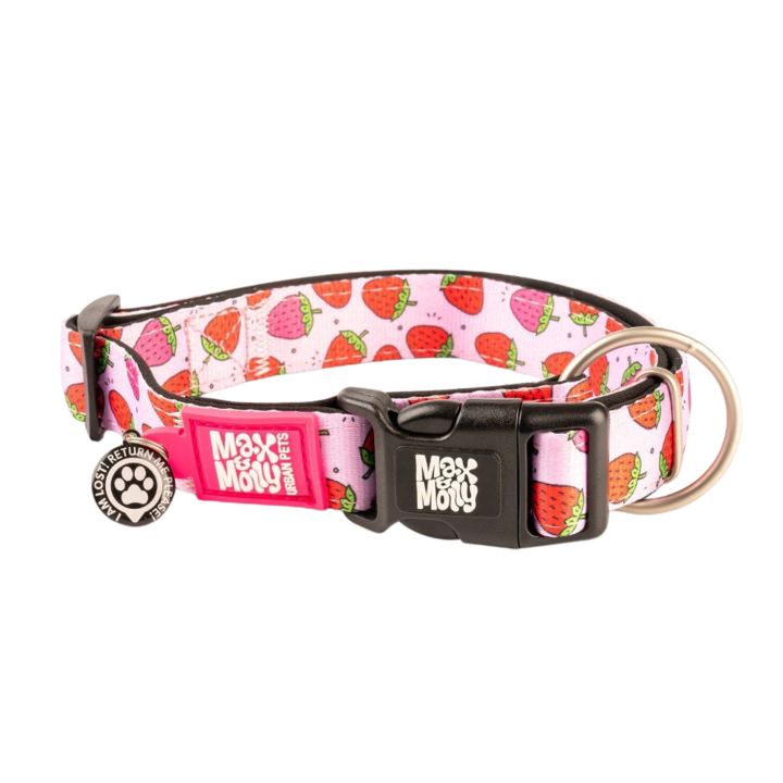 맥스앤몰리 스마트 ID 목줄 스트로베리