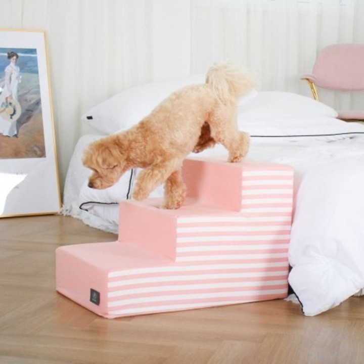 도그포즈 어닝 스트라이프 3단 스텝 핑크