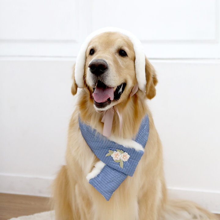 이츠독 설중화 누빔 귀도리 블루