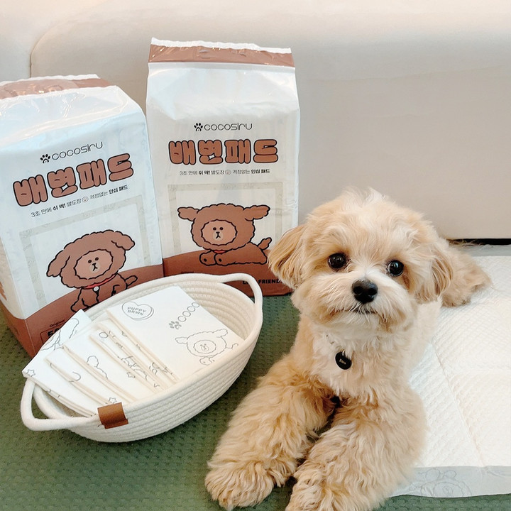 라인프렌즈 코코시루 쉬싹 배변패드 소형 50매