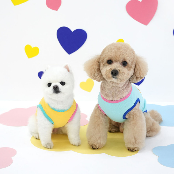 패리스독 베어 코튼티셔츠 옐로우