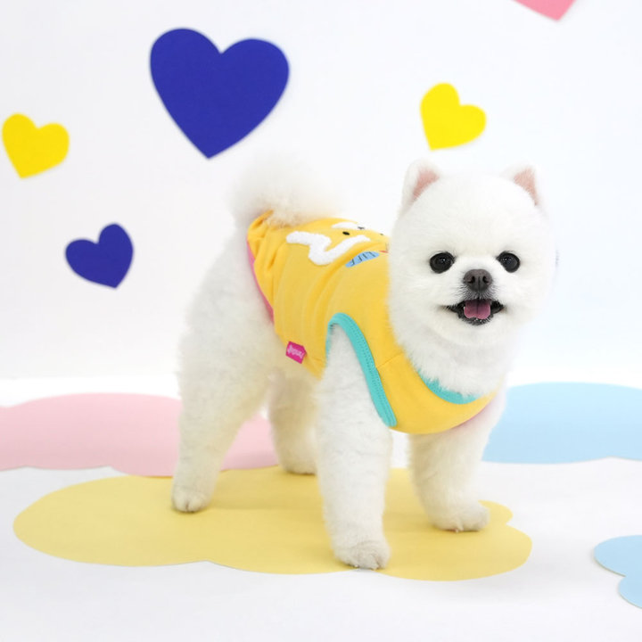 패리스독 베어 코튼티셔츠 옐로우