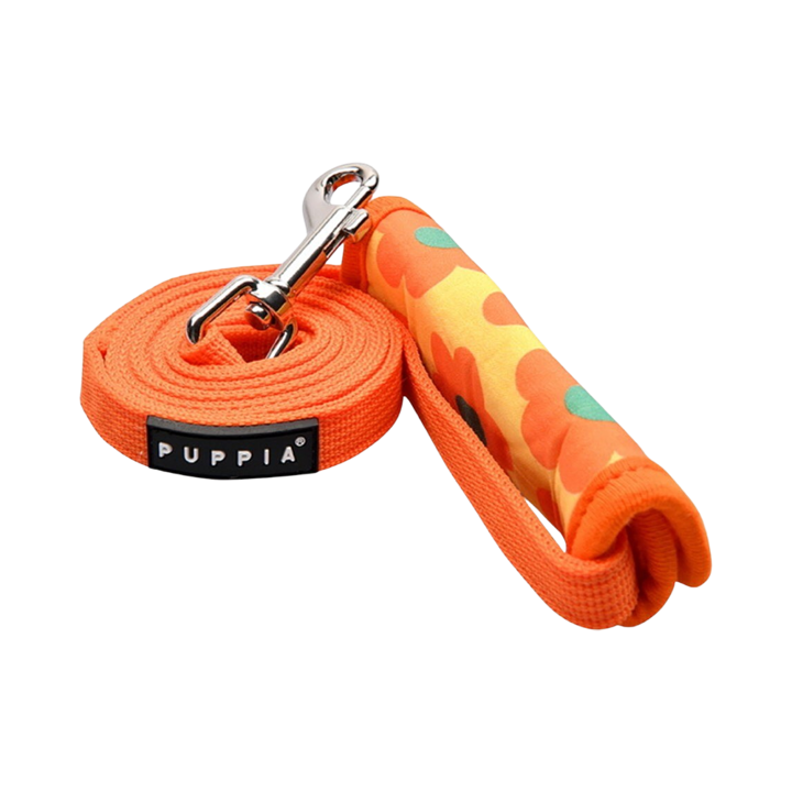 퍼피아 바코파 리드 오렌지