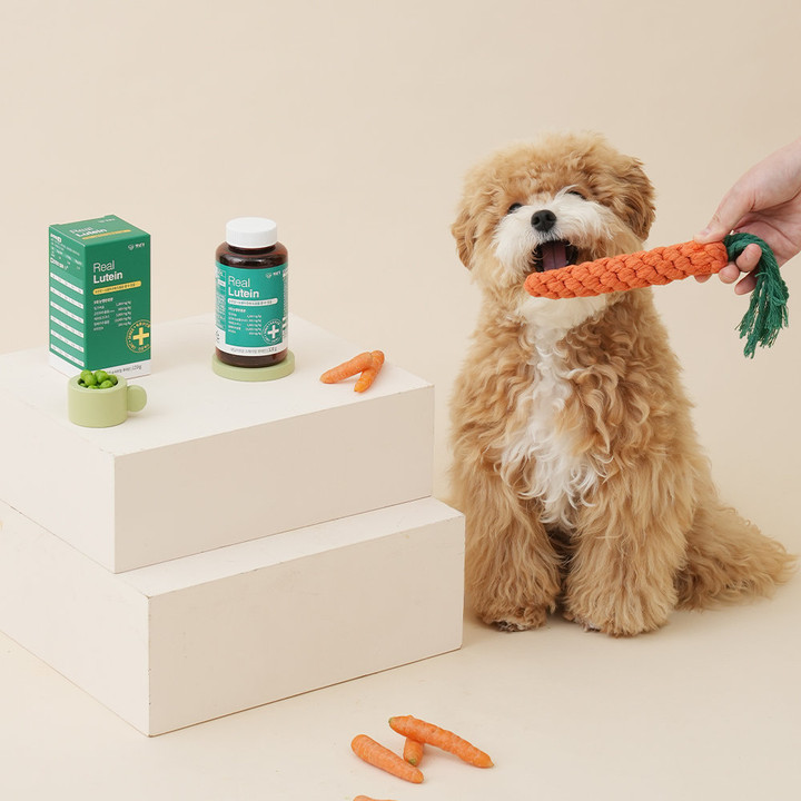 펫생각 데일리케얼 유산균 루테인 2종 세트