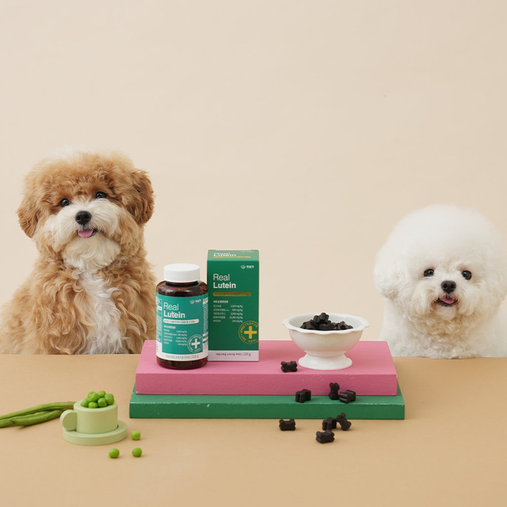 펫생각 데일리케얼 유산균 루테인 2종 세트