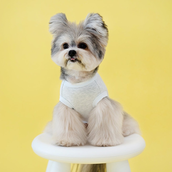 펫츠랜드 프렌즈티셔츠 그레이