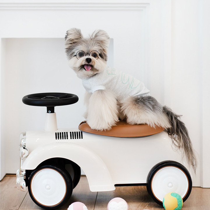 펫츠랜드 프렌즈티셔츠 그레이