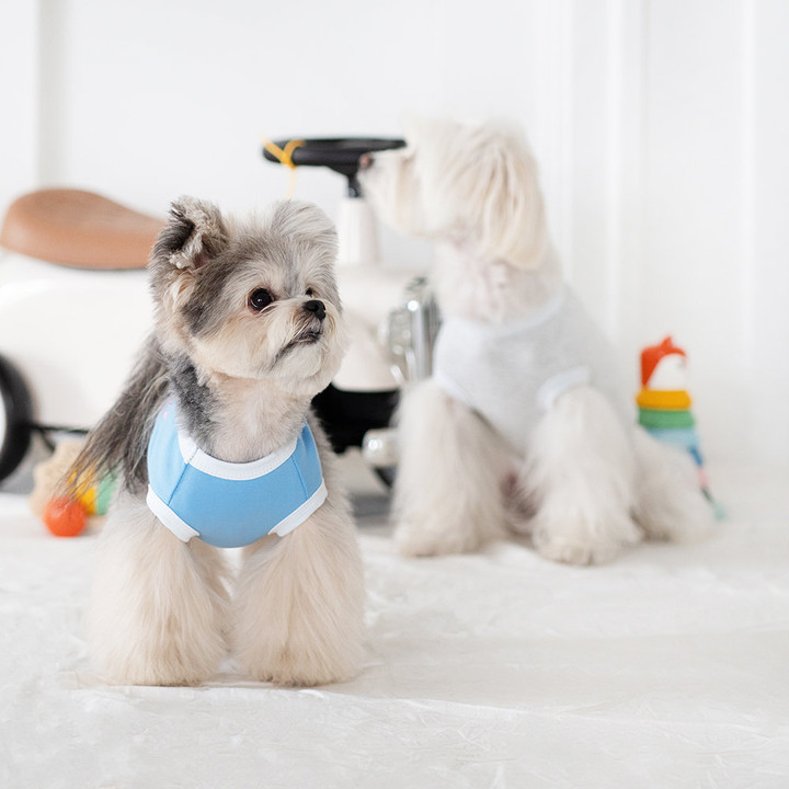 펫츠랜드 프렌즈티셔츠 그레이