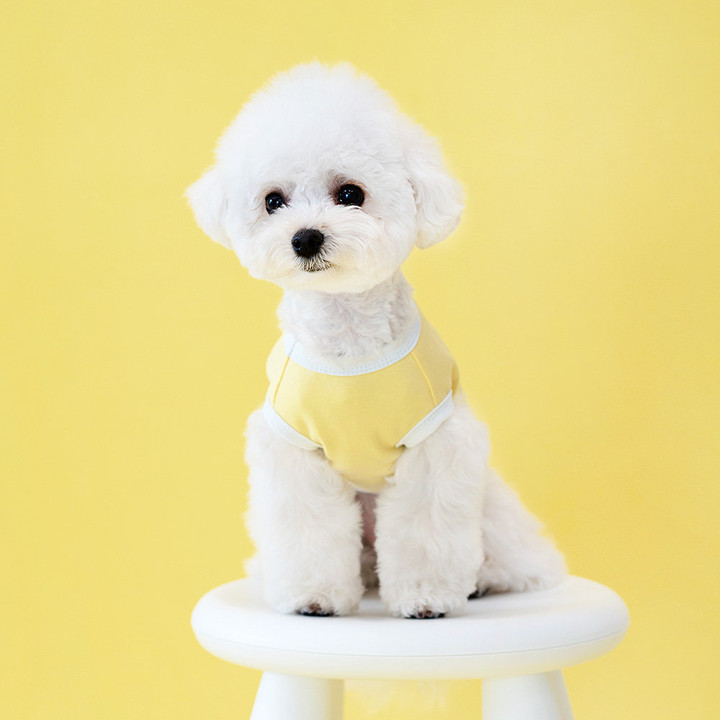 펫츠랜드 프렌즈티셔츠 옐로우