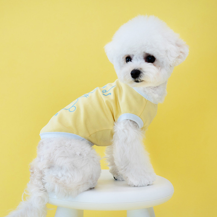 펫츠랜드 프렌즈티셔츠 옐로우