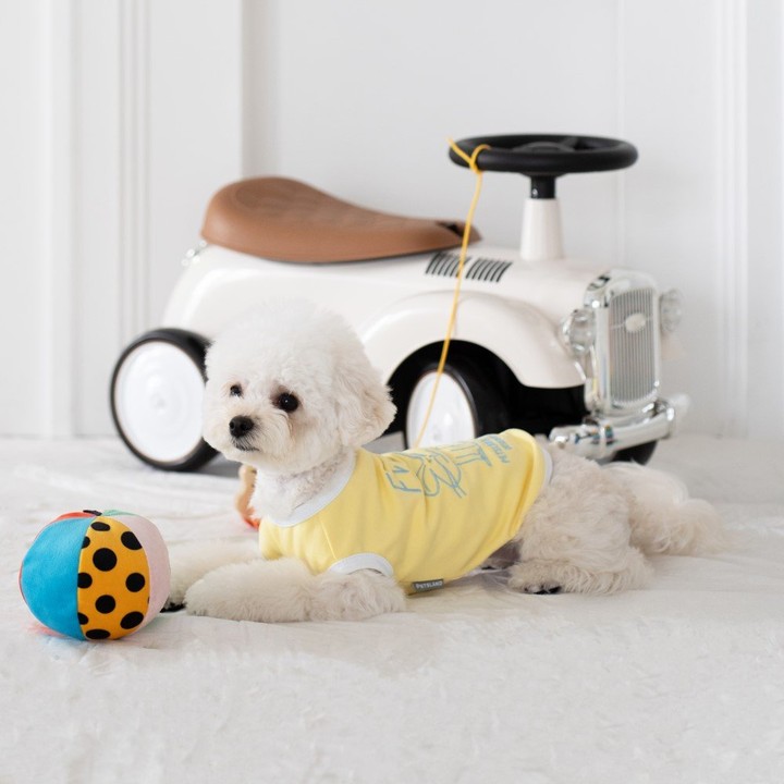 펫츠랜드 프렌즈티셔츠 옐로우