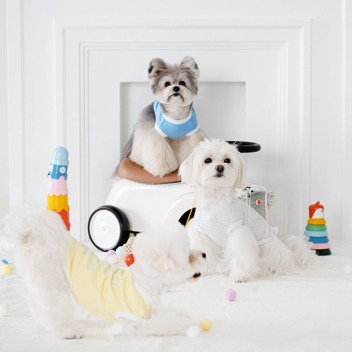 펫츠랜드 프렌즈티셔츠 옐로우